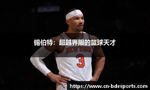 半岛电竞官网